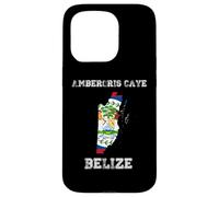 Carcasa para iPhone 15 Pro Retro Ambergris Caye Belice Bandera de Belice Envejecida