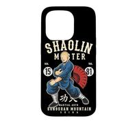 Carcasa para iPhone 15 Pro Shaolin Wu-Yi Kung Fu Artes Marciales Songshan Montañas Regalo