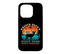 Carcasa para iPhone 15 Pro Souvenir Retro al Atardecer en el Parque Estatal Raven Rock de Carolina del Norte