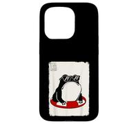 Carcasa para iPhone 15 Pro Verano Grumpy Frog Funny Kawaii Japonés