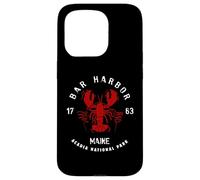 Carcasa para iPhone 15 Pro Vintage Acadia National Park Bar Harbor Maine Langosta Divertido
