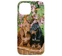 Carcasa para iPhone 15 Womens Girls 2 Doxies Black & Tan and Red Dachshund Lover