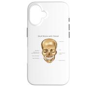 Carcasa para iPhone 16 Funny Anatomy Head Bone Humano Anatomía Ciencia Educación