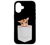 Carcasa para iPhone 16 Lindo Deslizador de azúcar Regalo exótico Mascota Sugar Bear Sugar Glider