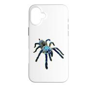 Carcasa para iPhone 16 Plus Araña Tarántula Babuino Azul Isla Socotra (M. balfouri)