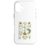 Carcasa para iPhone 16 Plus Ernst Haeckel Aquatic Life - Arte Vintage de biología Marina