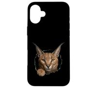 Carcasa para iPhone 16 Plus Gráfico de Animal Caracal Wild Cat Breaking Through Torn Hole