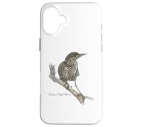 Carcasa para iPhone 16 Plus Rufous Night Garza Hermosa Ornitología de Aves Silvestres