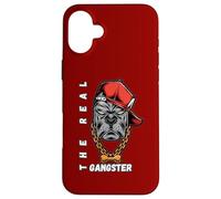 Carcasa para iPhone 16 Plus The Real Gangster Tough Bulldog con Gorra y Cadena Urban