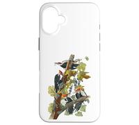 Carcasa para iPhone 16 Plus Vintage Pileated Pájaro Carpintero pájaros ilustración Hombres y Mujeres
