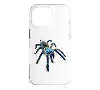 Carcasa para iPhone 16 Pro Araña Tarántula Babuino Azul Isla Socotra (M. balfouri)