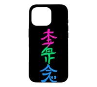Carcasa para iPhone 16 Pro Bandera polisexual Hon Sha Ze SHO NEN Reiki Símbolo Yoga
