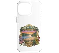 Carcasa para iPhone 16 Pro Bristol Beach State Park Nueva York - Recuerdo novedoso