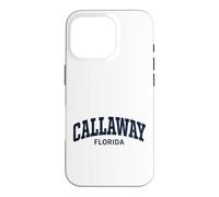 Carcasa para iPhone 16 Pro Callaway Florida Vintage