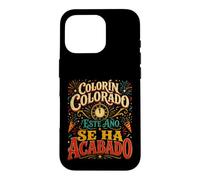 Carcasa para iPhone 16 Pro Colorín Colorado Este Año Se Ha Acabado Año Escolar Recuerdos