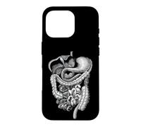 Carcasa para iPhone 16 Pro Cuerpo Humano Órganos internos Anatomía Gráfico Regalo Hombres Mujeres