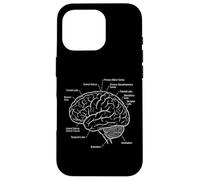 Carcasa para iPhone 16 Pro Diagrama de anatomía de neurociencia de áreas funcionales del Cerebro