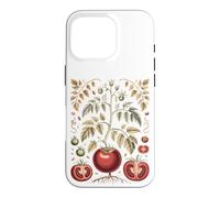 Carcasa para iPhone 16 Pro Graphic Tomato Vintage Botanical Drawing