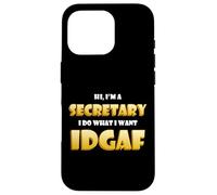 Carcasa para iPhone 16 Pro Hi I'm a Secretary Idgaf Funny Office Warehouse Secretaries