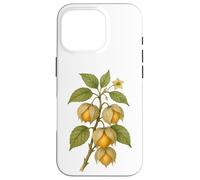 Carcasa para iPhone 16 Pro Impresión artística Vintage botánica Physalis Nature Fruit