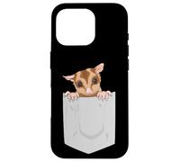 Carcasa para iPhone 16 Pro Lindo Deslizador de azúcar Regalo exótico Mascota Sugar Bear Sugar Glider