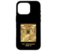 Carcasa para iPhone 16 Pro Los Backrooms Nivel 0 Liminal Space Horror