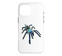 Carcasa para iPhone 16 Pro MAX Araña Tarántula Babuino Azul Isla Socotra (M. balfouri)