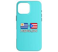 Carcasa para iPhone 16 Pro MAX Bandera uruguaya más puertorriqueña del Patrimonio de la perfección