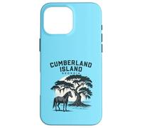 Carcasa para iPhone 16 Pro MAX Cumberland Island Georgia Puesta de Sol