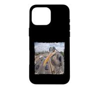 Carcasa para iPhone 16 Pro MAX Divertida Cámara Tráfico Autopista Garza Azulada