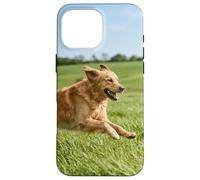 Carcasa para iPhone 16 Pro MAX Golden Retriever Perro Corriendo Campo Abierto Soleado Escena Al