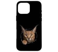 Carcasa para iPhone 16 Pro MAX Gráfico de Animal Caracal Wild Cat Breaking Through Torn Hole