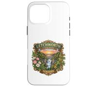 Carcasa para iPhone 16 Pro MAX Letchworth State Park Nueva York Cascadas Novedad Recuerdo