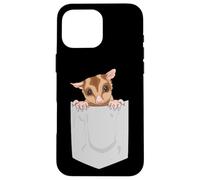 Carcasa para iPhone 16 Pro MAX Lindo Deslizador de azúcar Regalo exótico Mascota Sugar Bear Sugar Glider