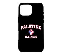 Carcasa para iPhone 16 Pro MAX Palatine Illinois (Illinois)