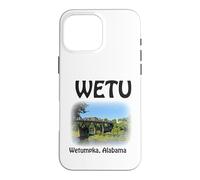 Carcasa para iPhone 16 Pro MAX Puente WETU Wetumpka Alabama Bibb Graves Rainbow Arch