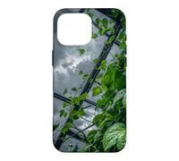 Carcasa para iPhone 16 Pro MAX Techo de Invernadero Nublado