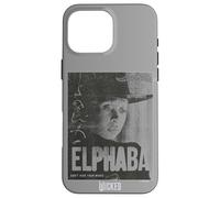 Carcasa para iPhone 16 Pro MAX Wicked Elphaba Don’t Hide Your Magic