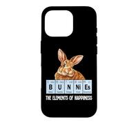 Carcasa para iPhone 16 Pro Mens Womens Kids Elements of Happiness Bunnies Lover