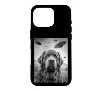 Carcasa para iPhone 16 Pro Newfoundland UFO
