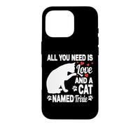 Carcasa para iPhone 16 Pro Nombre Personalizado de Gato Trixie Cute Kitten Pet Lover
