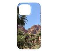 Carcasa para iPhone 16 Pro Obra de Arte del Paisaje del palmeral del Oasis del cañón del Desierto