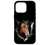 Carcasa para iPhone 16 Pro Paseos A Caballo Divertidos Jinete Horse Riding El Establo