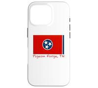 Carcasa para iPhone 16 Pro Pigeon Forge, Recuerdo de la Bandera de Estados Unidos de Tennessee