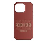 Carcasa para iPhone 16 Pro Pigeon Forge Tennessee Vintage