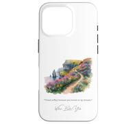 Carcasa para iPhone 16 Pro Pisar Suavemente Porque pisas mis sueños Irlanda Poeta