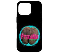 Carcasa para iPhone 16 Pro Praslin diseño Vintage Isla Tropical Seychelles Souvenir