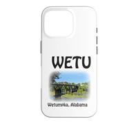 Carcasa para iPhone 16 Pro Puente WETU Wetumpka Alabama Bibb Graves Rainbow Arch