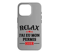 Carcasa para iPhone 16 Pro Regalo Licencia de Conducir Código de Carretera Humor