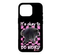 Carcasa para iPhone 16 Pro Retro Jimothy from Seattle It’s Okay to Be Weird
